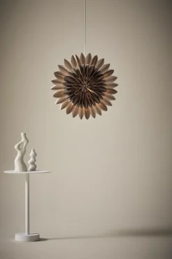 Julbelysning|Jotex CANOPUS Julstjärna ø 48 Cm Brun