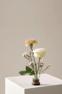 Vaser|Krukor|Jotex FIORE Blomsterfakir ø 4,6 Cm Svart/koppar