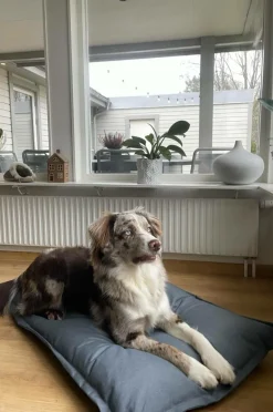 Hundbädd/Kattbädd|Jotex LOKI OUTDOOR Hundbädd/kattbädd 100x70 Cm Pärlgrå