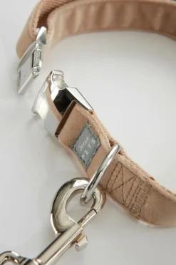 Djurtillbehör|Jotex LUCA Koppel Och Hundhalsband Beige