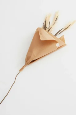 Vaser|Jotex PAMPAS WIND 1 Stjälk Beige/brun