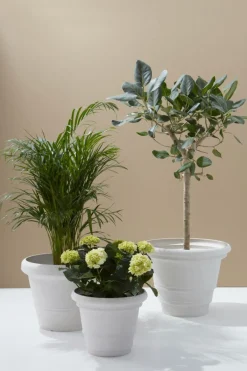 Utekrukor|Krukor|Jotex POLLY Utomhuskruka ø 38 Cm Vit