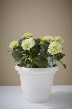 Utekrukor|Krukor|Jotex POLLY Utomhuskruka ø 38 Cm Vit