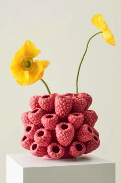 Vaser|Jotex RASPBERRY Vas/kruka