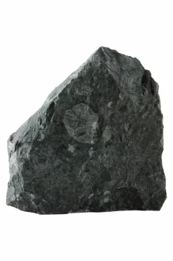Prydnadssaker|Jotex ROCKS Dekoration Grå/grön/svart