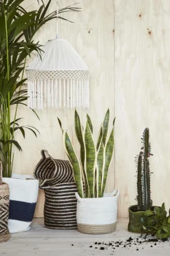 Prydnadssaker|Förvaring|Jotex SALLE Förvaringskorg 2 Delar Naturvit/beige