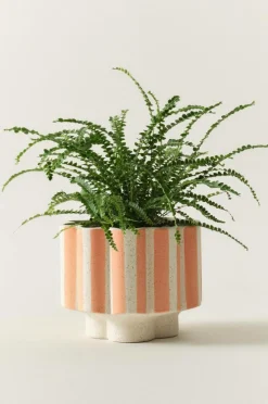 Krukor|Jotex SIGFRID STRIPE Kruka Aprikos/naturvit